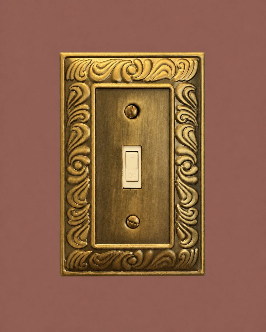 Decorative Brass Switch Plate by Architectural feature; design direction by Andrea Soltani
